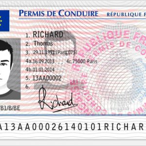 FRENCH DRIVERS LICENSE