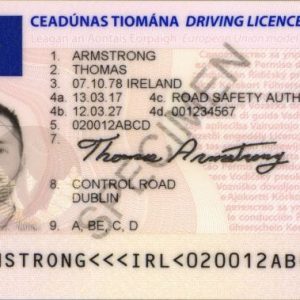 IRISH DRIVERS LICENSE